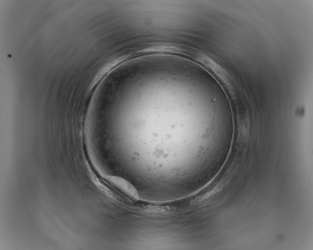 X0000090891049200707271328