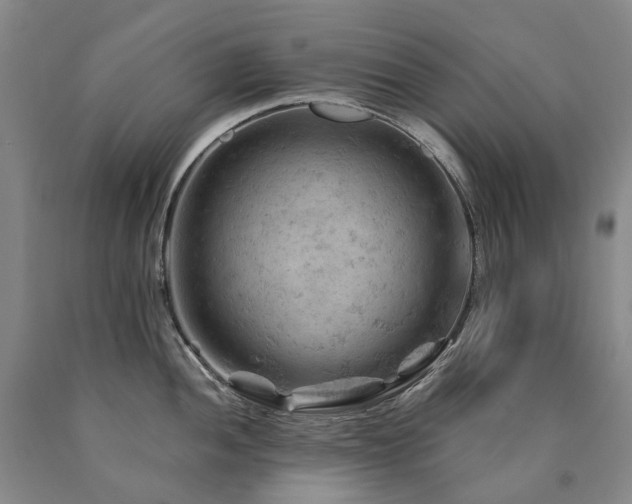 X0000090891052200707271328