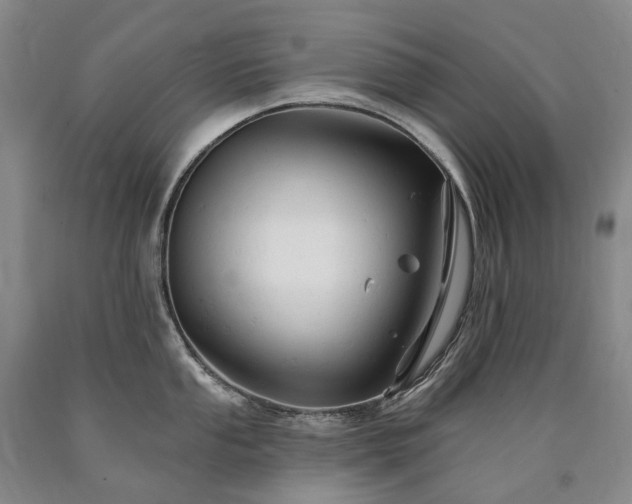 X0000090891053200707271328