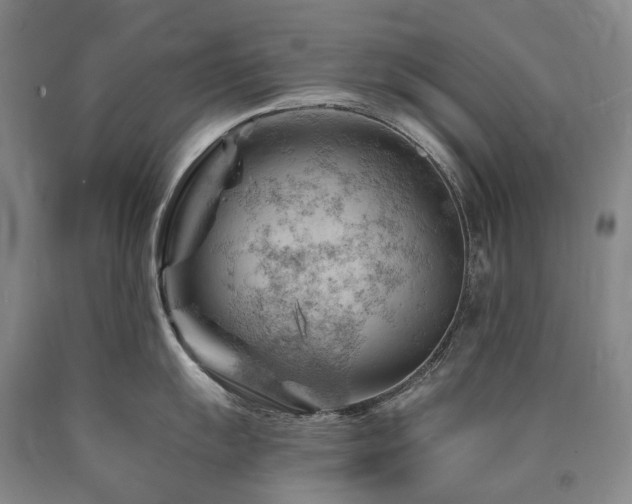 X0000090891055200707271328