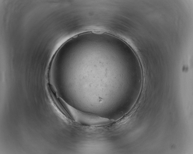 X0000090891056200707271328