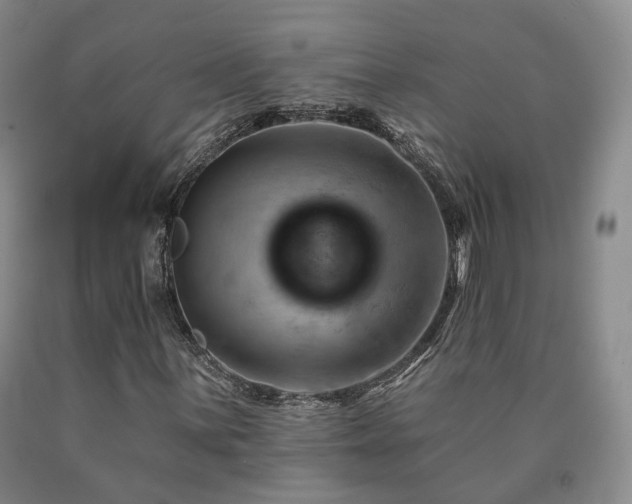 X0000090891059200707271327