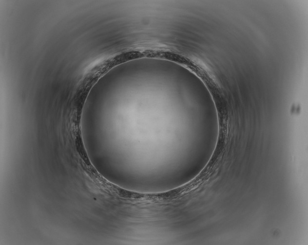 X0000090891063200707271327