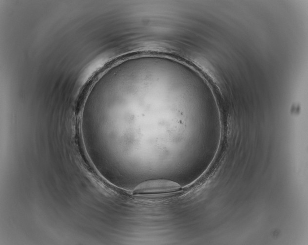 X0000090891067200707271327