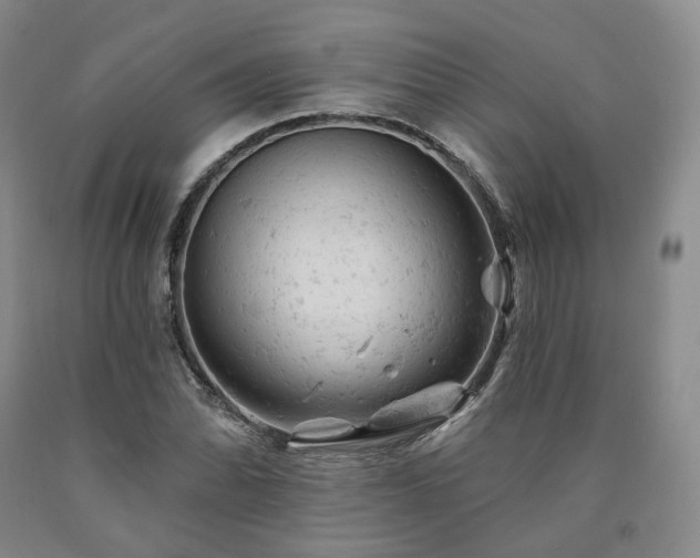 X0000090891070200707271327