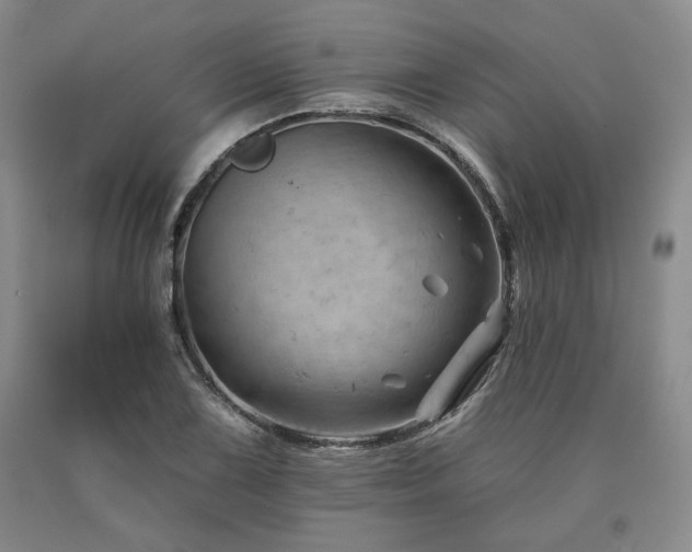 X0000090891075200707271327