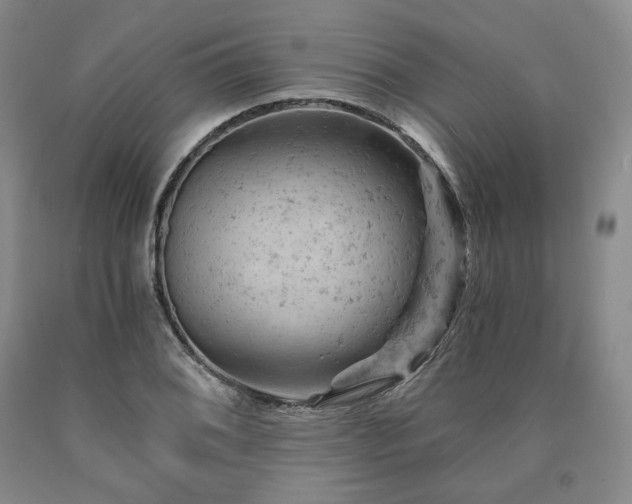 X0000090891076200707271327