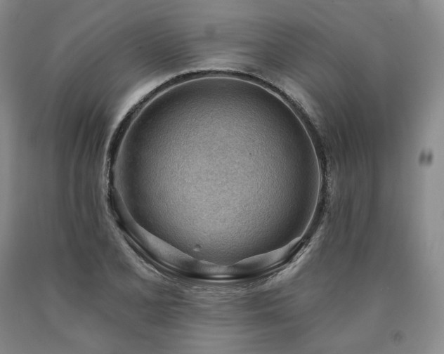 X0000090891077200707271327