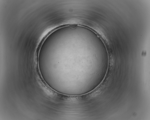 X0000090891078200707271327