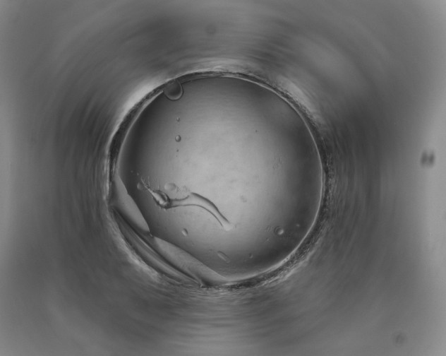 X0000090891079200707271327