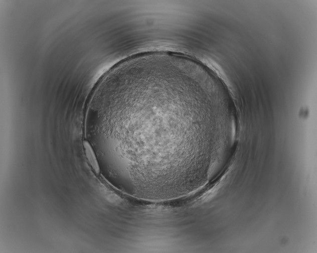 X0000090891081200707271327