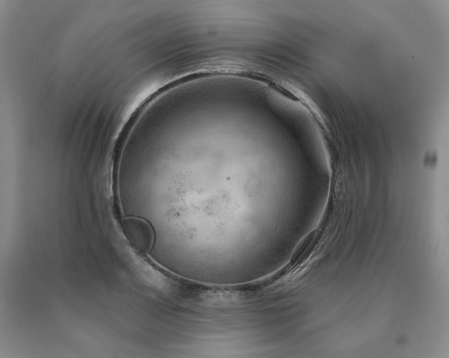 X0000090891083200707271327