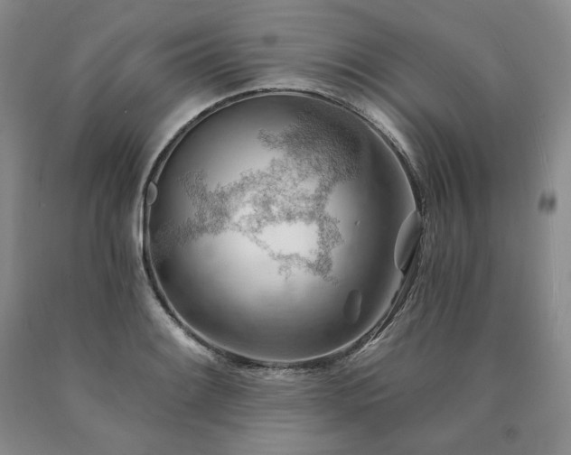 X0000090891084200707271327