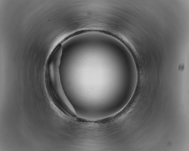 X0000090891085200707271327