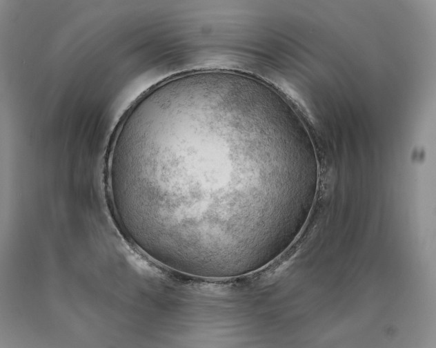 X0000090891086200707271327