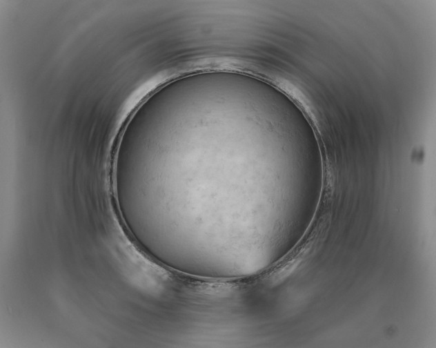 X0000090891090200707271327