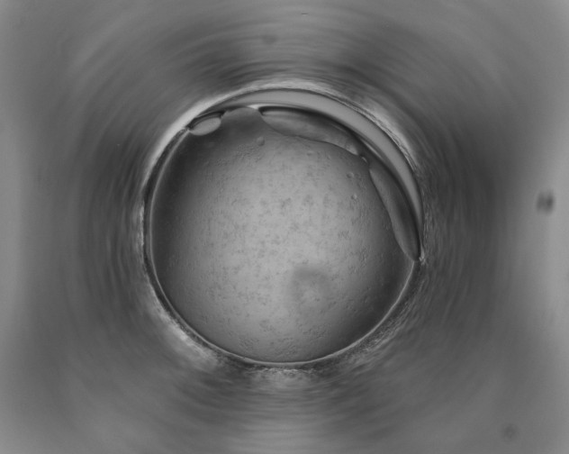 X0000090891092200707271327