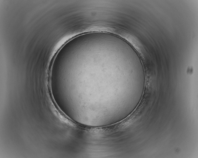 X0000090891094200707271327