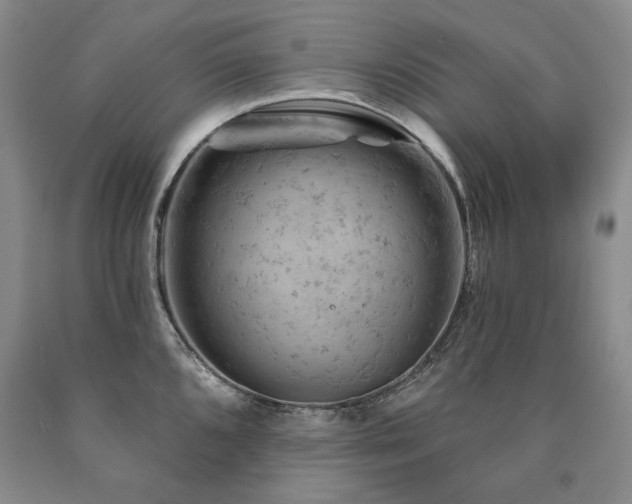 X0000090891096200707271327