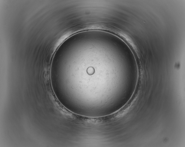 X0000090891097200707271327