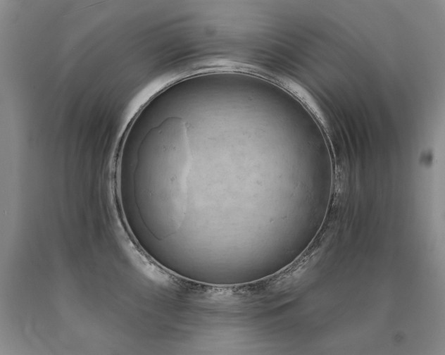 X0000090891098200707271327