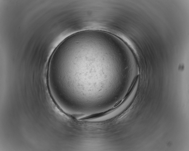 X0000090891102200707271327