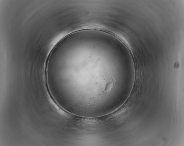 X0000090891103200707271327