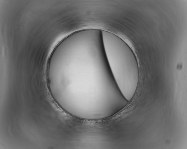 X0000090891104200707271327