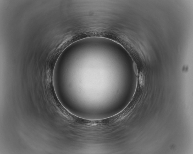 X0000090891107200707271326