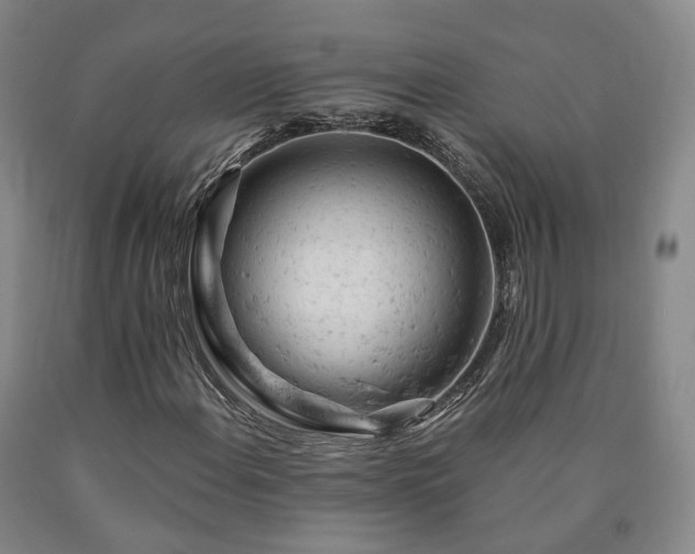 X0000090891108200707271326