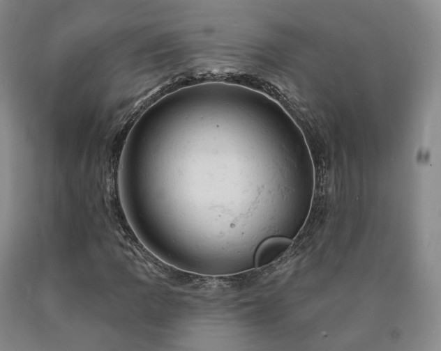 X0000090891109200707271326