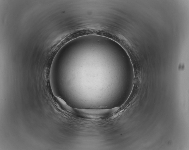 X0000090891110200707271326