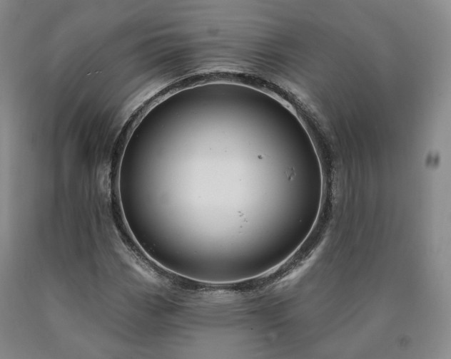 X0000090891113200707271326