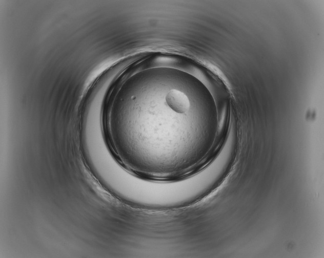 X0000090891114200707271326