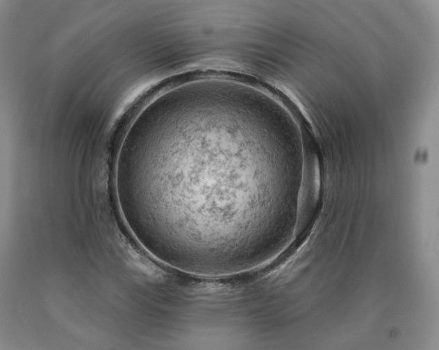 X0000090891115200707271326