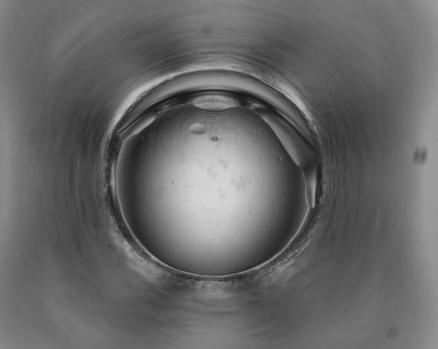 X0000090891116200707271326