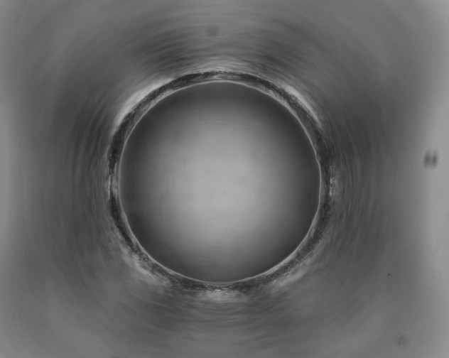 X0000090891117200707271326