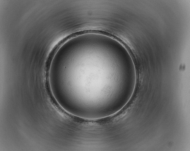 X0000090891119200707271326