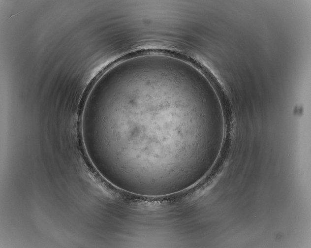 X0000090891121200707271326