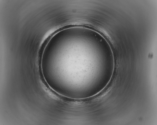 X0000090891122200707271326