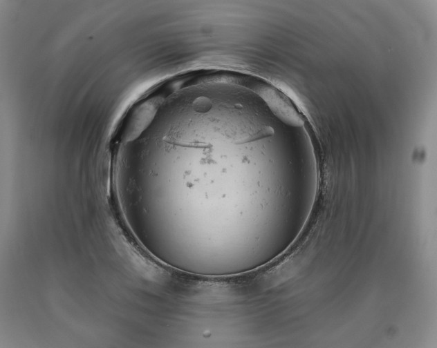 X0000090891123200707271326