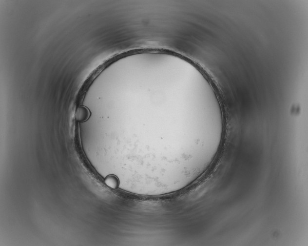 X0000090891126200707271326