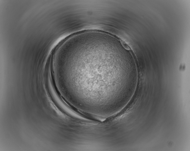 X0000090891127200707271326