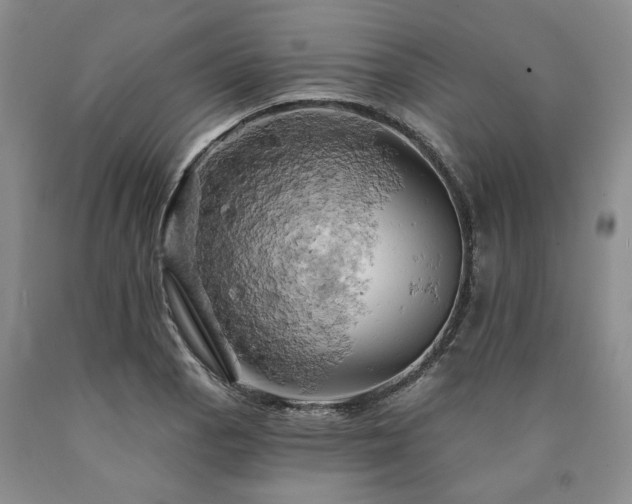 X0000090891129200707271326
