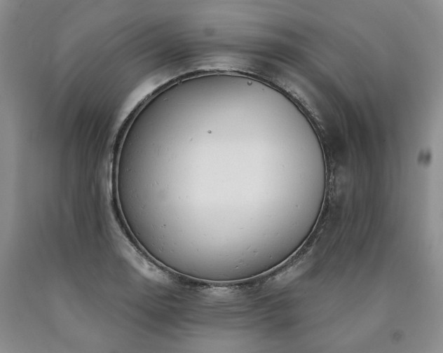 X0000090891130200707271326