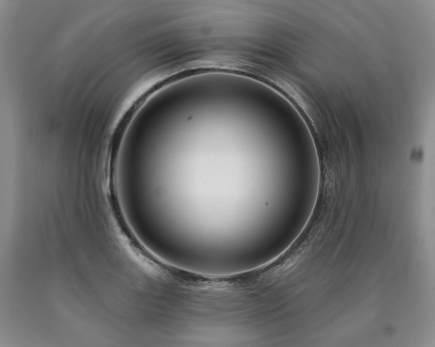 X0000090891131200707271326