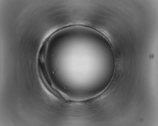 X0000090891135200707271327