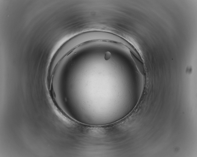 X0000090891136200707271327