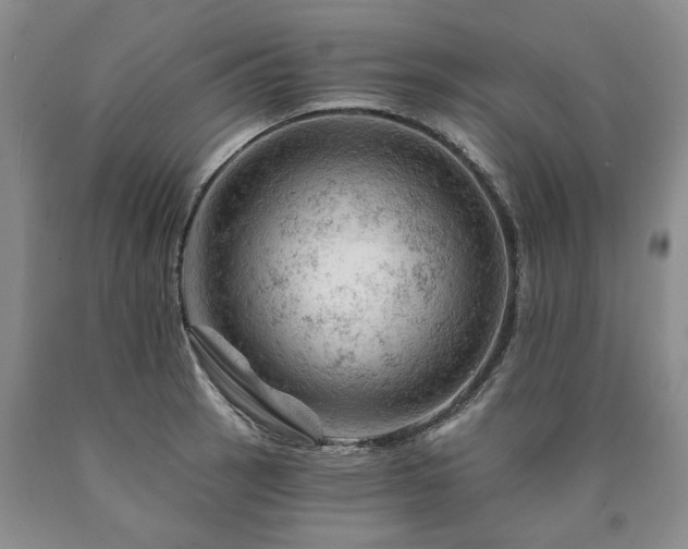 X0000090891137200707271327