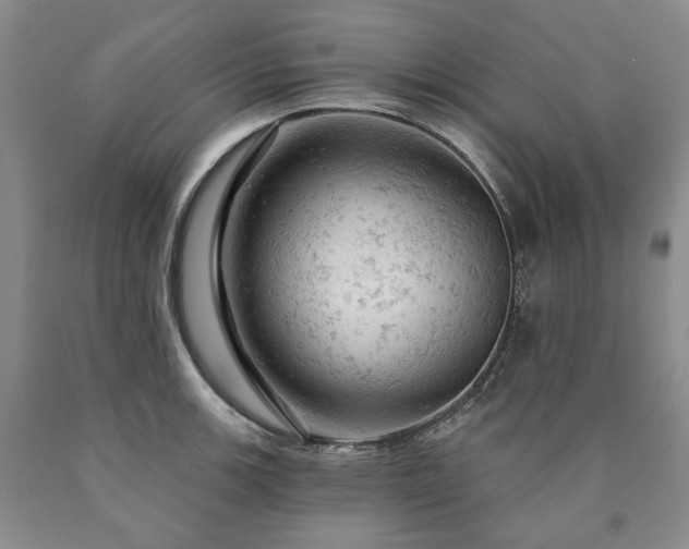 X0000090891139200707271327